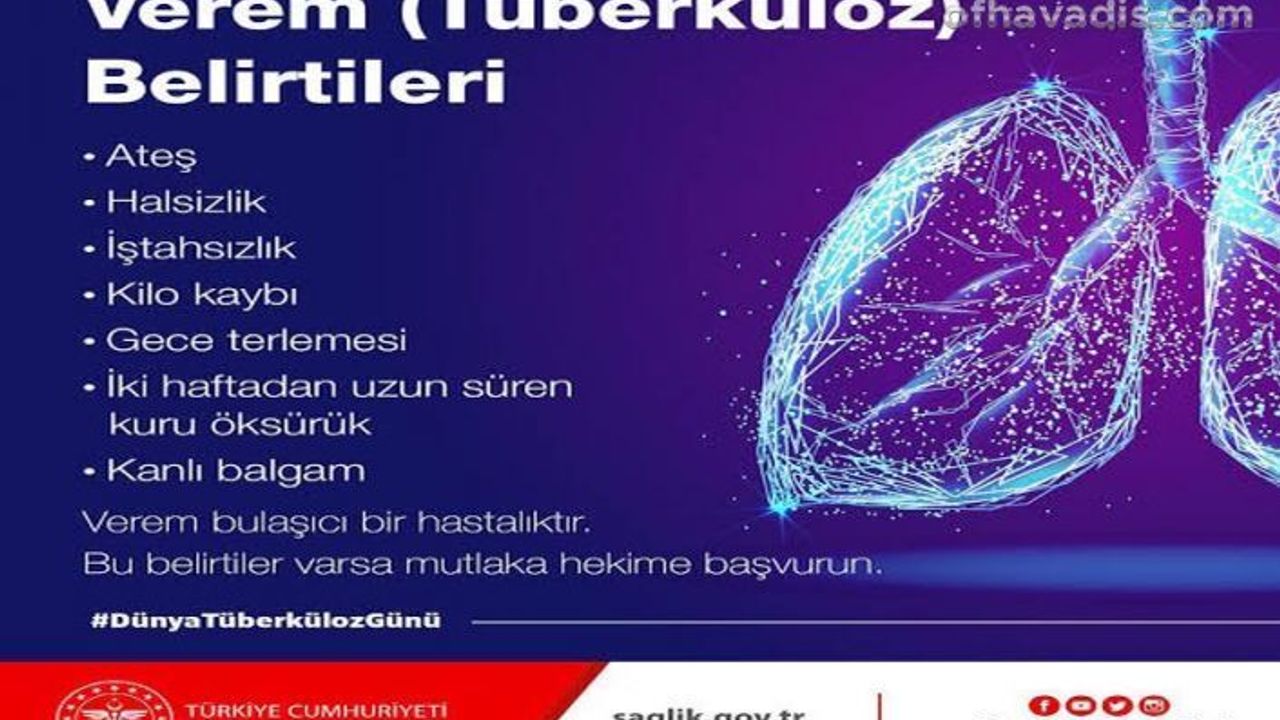 Tüberküloz ilk on ölüm sebebinden biri