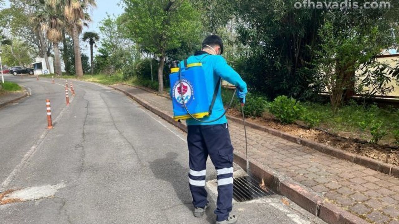 Büyükşehir vektörle mücadelede yaza hazır