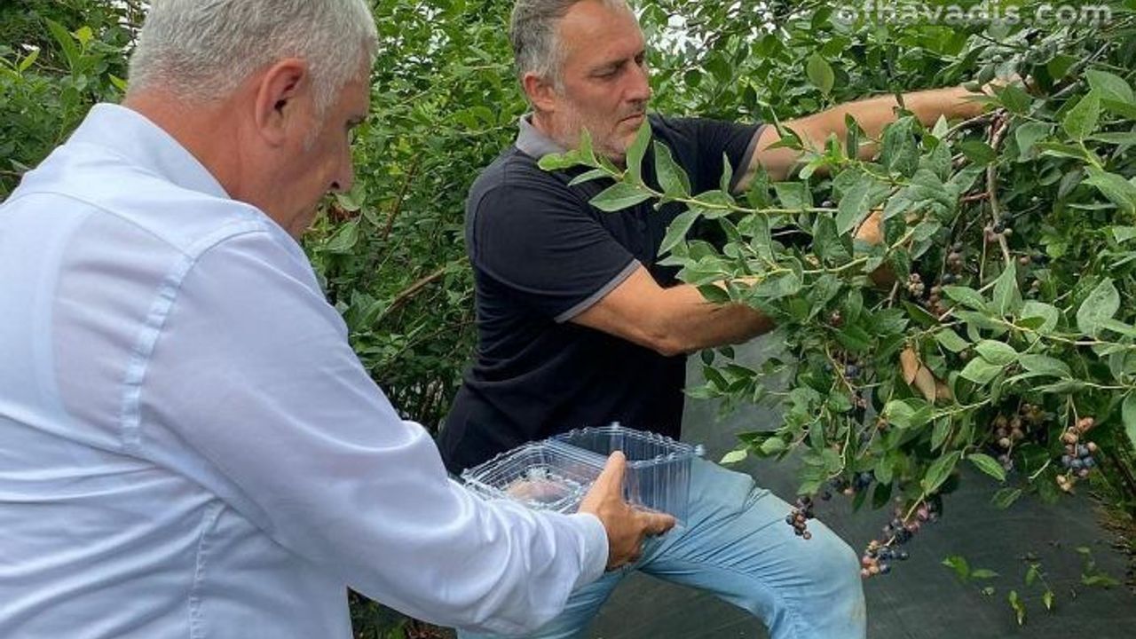 Kaymakam Akça ve Başkan Sarıalioğlu Likapa topladı