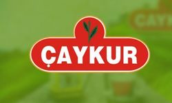 Çaykur’dan çay üreticilerine gübre uyarısı