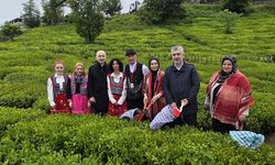 2026 yılı yaş çay sezonu yağmur ve duayla açıldı