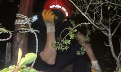 İtfaiye ve AFAD'dan kurtarma operasyonu