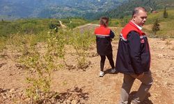 Of’ta Doğu Karadeniz’in en büyük mavi yemiş bahçesi kuruldu