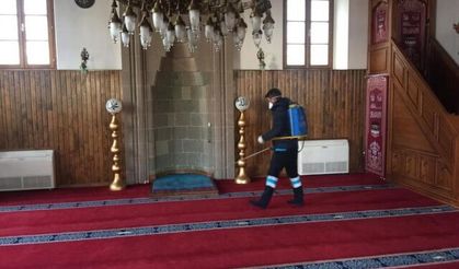 Büyükşehir vektörle mücadele çalışmalarını sürdürüyor