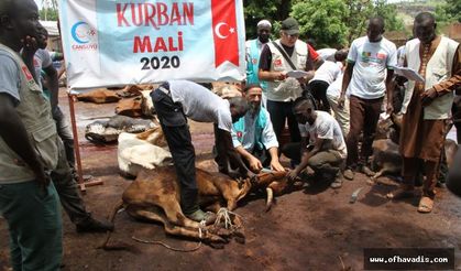 Ofluların kurbanları Afrika’ya Cansuyu oldu