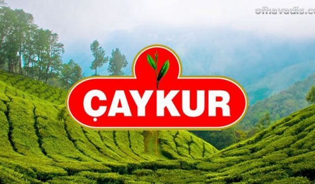 Çaykur 1500 işçi alıyor