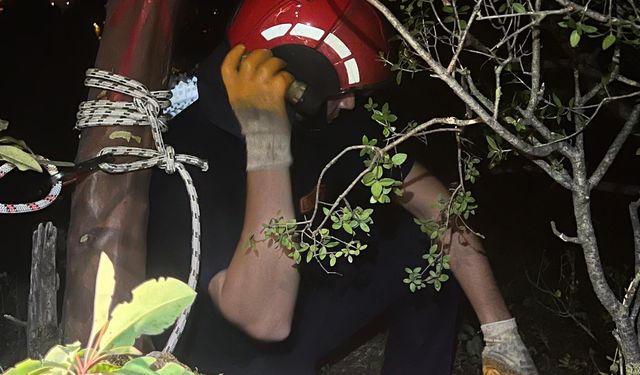 İtfaiye ve AFAD'dan kurtarma operasyonu