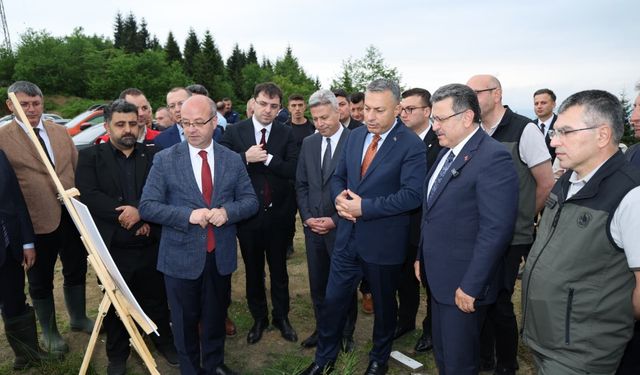 Trabzon'a 5 bin hayvana ev sahipliği yapacak barınak geliyor