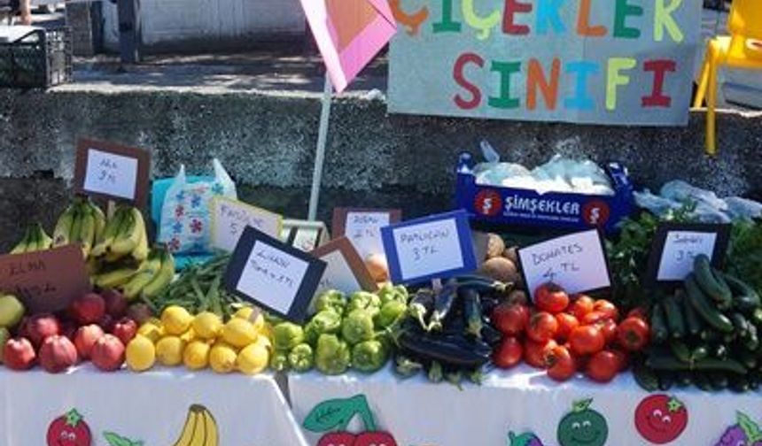 OF ŞAT Anaokulu Pazar Kurdu