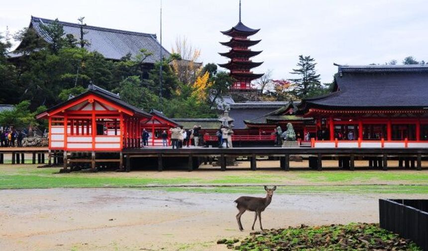 Geçmişin Tarihsel Dokusuyla Bütünleşmiş Barış Elçisi: Hiroshima